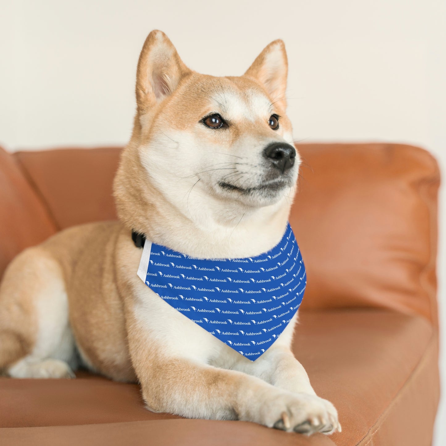 Ashbrook Pet Bandana Collar